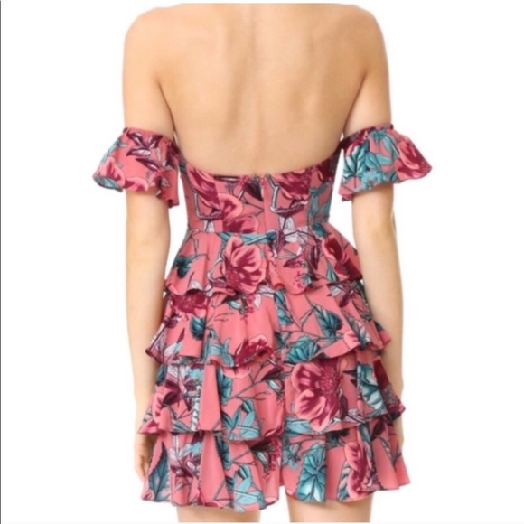 For Love and Lemons Flamenco Dress - Picture 2 of 10